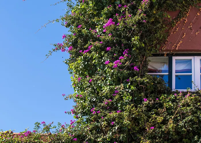 York House Hotell 4*